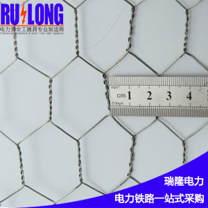 RL-FNW2不銹鋼防鳥(niǎo)網(wǎng)